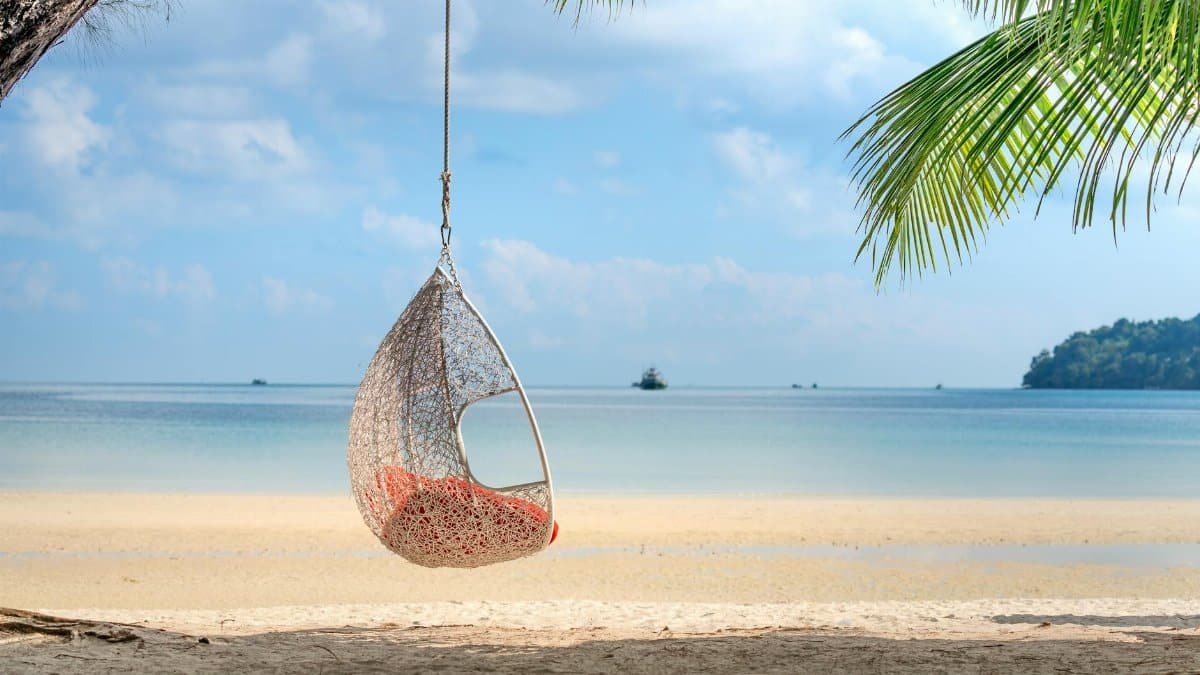 Amazing view of cozy wicker egg chair hanging on palm above sandy beach against endless blue sea in tropical resort