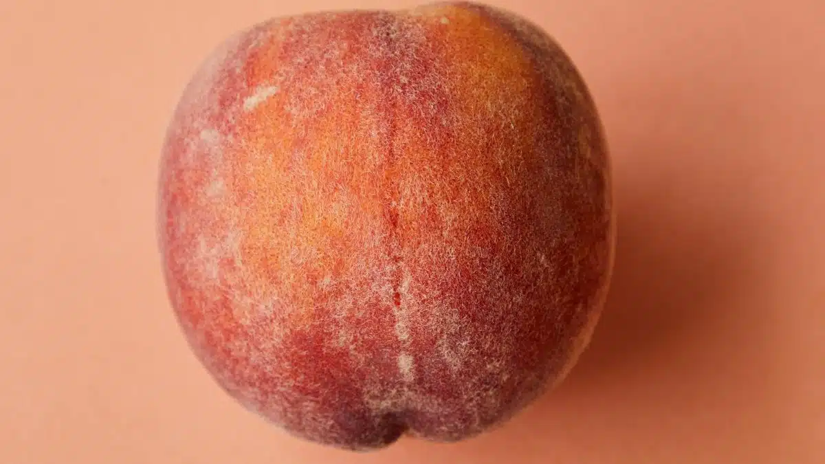 A detailed view of a fresh, ripe peach on a pink background. Perfect for healthy lifestyle themes.
