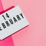Lightbox displaying '14 February' on a vibrant pink background symbolizes Valentine's Day.