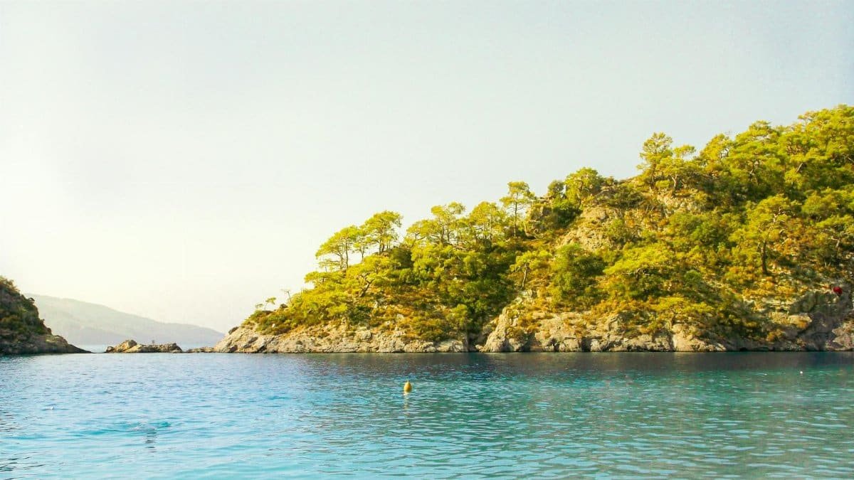 Serene coastal island with lush greenery and calm blue waters on a sunny day.