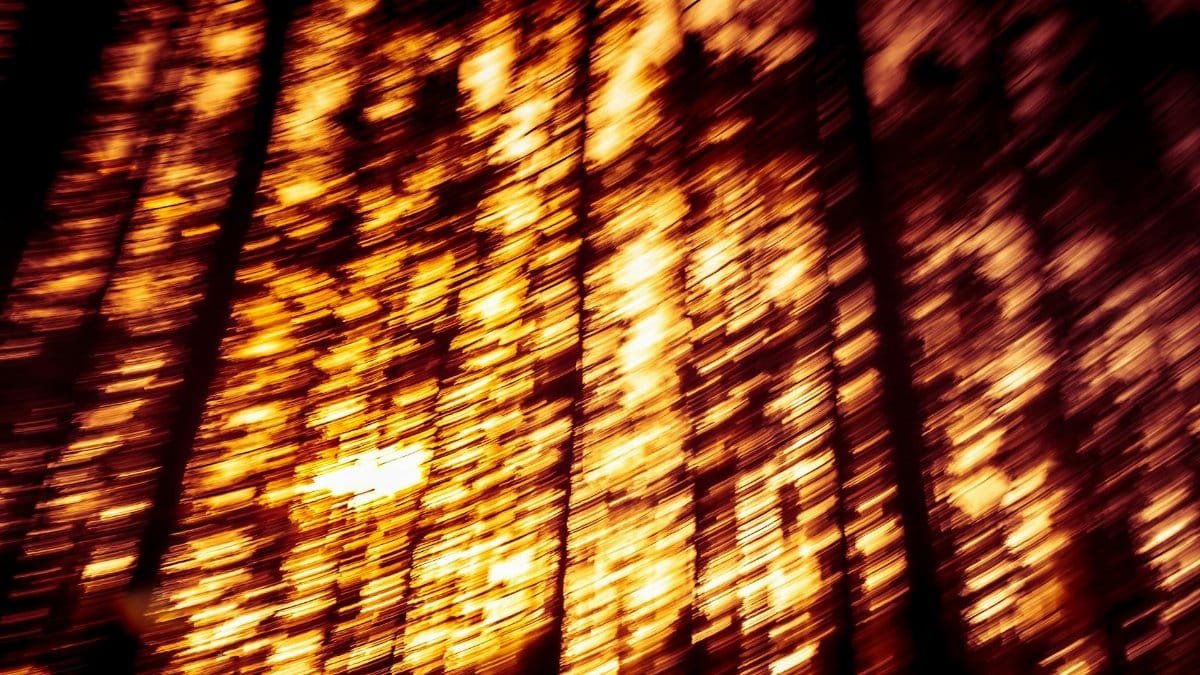 A mesmerizing artistic photo of a forest with blurred light creating an abstract pattern.