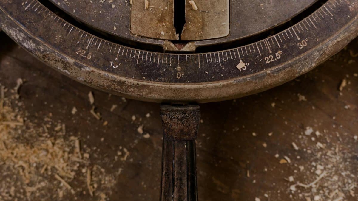 Detailed view of an old, vintage measuring scale surrounded by wood shavings.