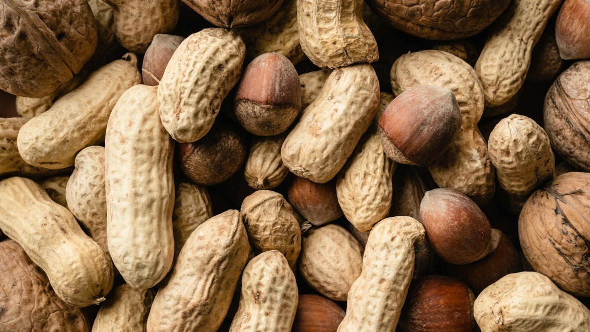 Close-up of assorted mixed nuts including peanuts, hazelnuts, and walnuts in a natural setting.