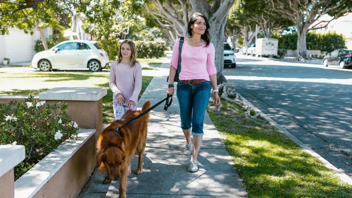 A woman and child walk a golden retriever dog on a sunny sidewalk.