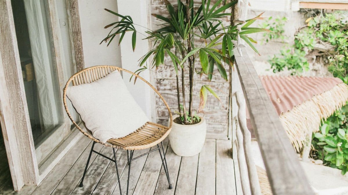 Tranquil outdoor balcony area featuring a rattan chair with a cushion and vibrant green potted plant.