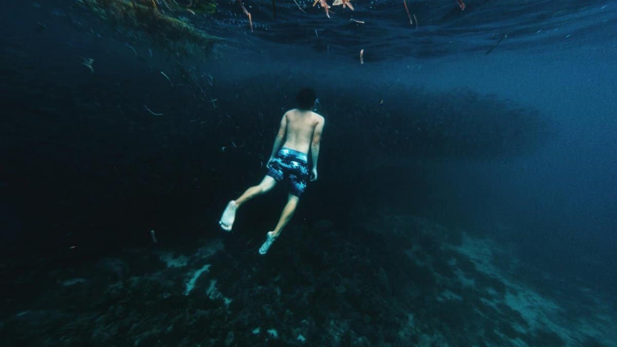 A diver swims in deep blue ocean waters alongside a school of fish, capturing the essence of underwater exploration.