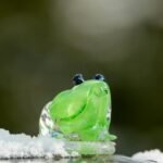 Green glass frog figurine on snow illustrating contrast between nature and art.