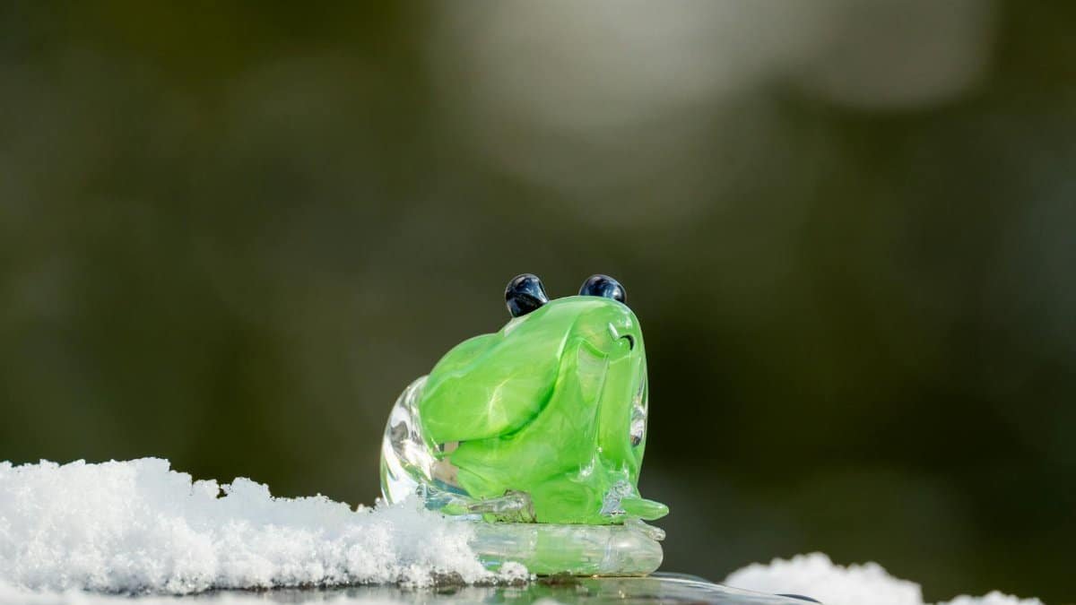 Green glass frog figurine on snow illustrating contrast between nature and art.