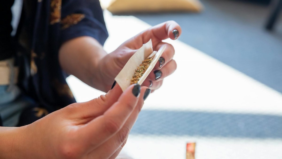 A close-up of a person rolling a cannabis joint indoors with natural light.