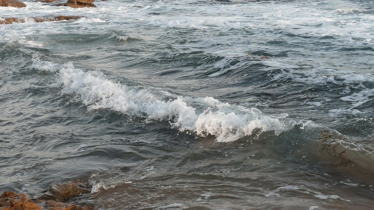 Dynamic ocean waves crash against rugged rocks on a tranquil coastline, offering a stunning view of nature's power.