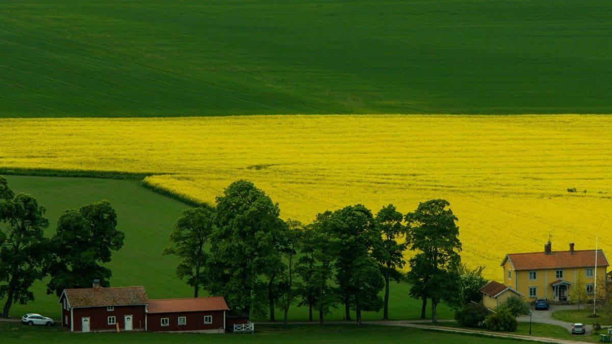 Free stock photo of 2025, 4k nature, 4k photo