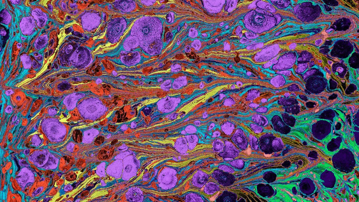 A vibrant, colorful abstract design featuring a marbled texture with purple, red, green, and yellow hues.