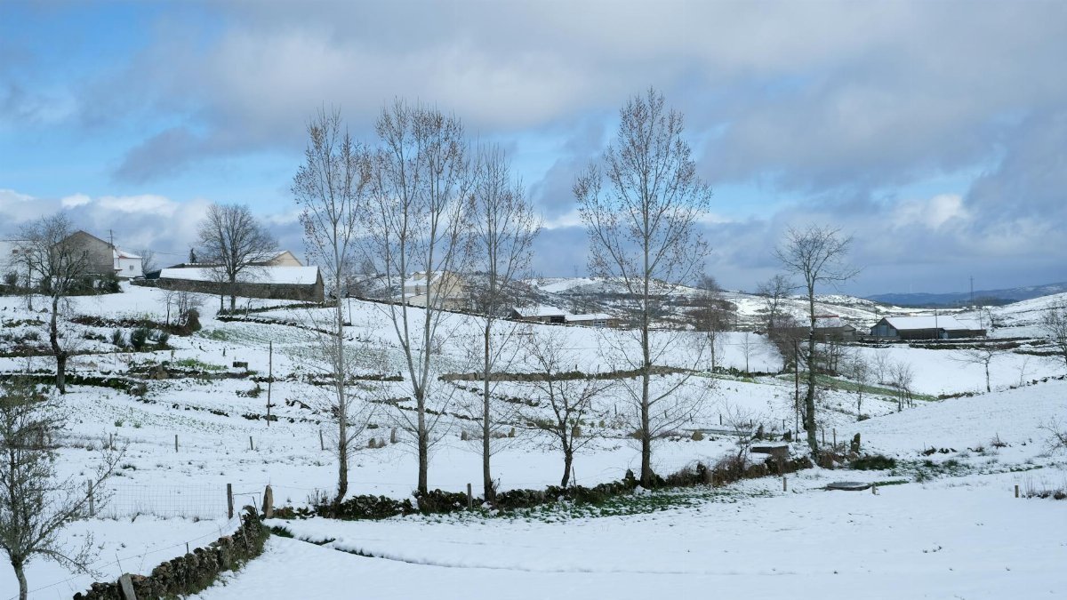 Tranquil winter scene of snow-covered fields and hills with trees under a cloudy sky.