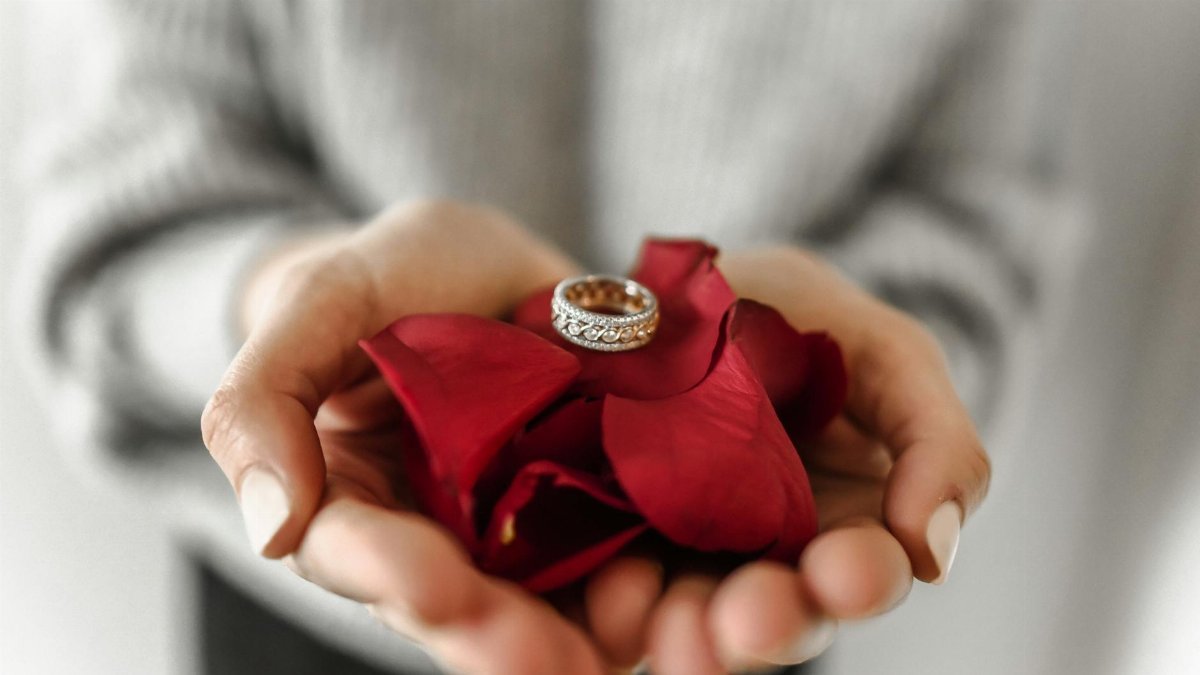 Close-up of an engagement ring resting on red rose petals held in hands, symbolizing love and commitment.