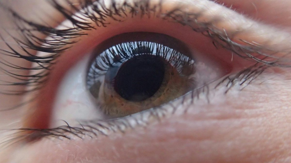 Macro shot highlighting the intricate details of an eye iris and eyelashes.