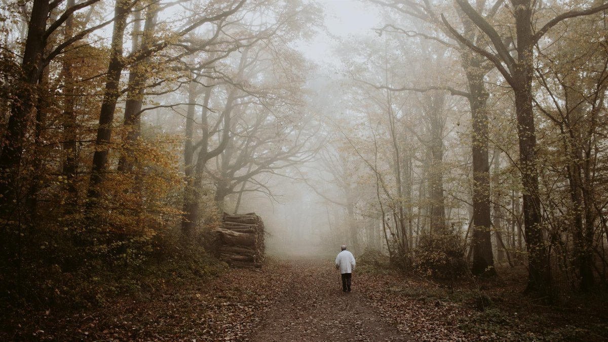 A lone figure walking along a foggy forest path in autumn, surrounded by tall trees and fallen leaves.