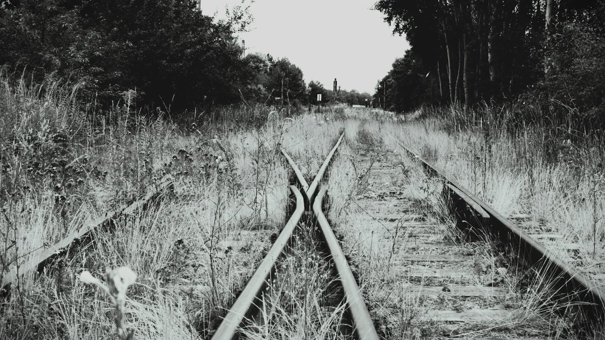 Black and white image of overgrown railway tracks diverging in a rural setting.