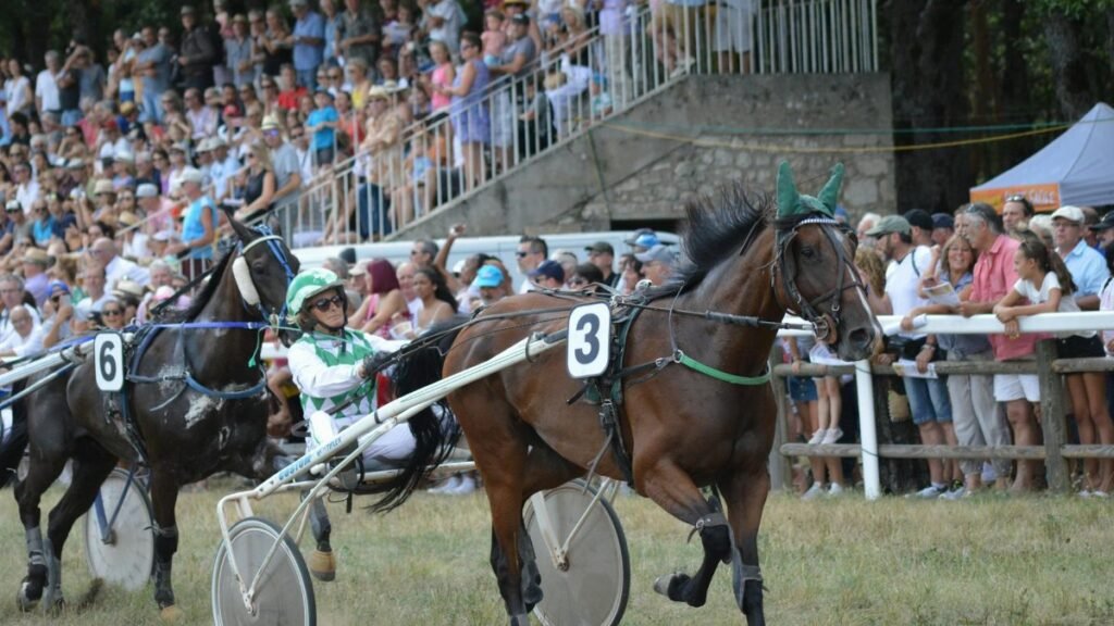 Dynamic capture of a harness horse race with enthusiastic spectators in the background during a summer day.