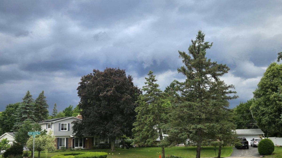 How They Weather Storms