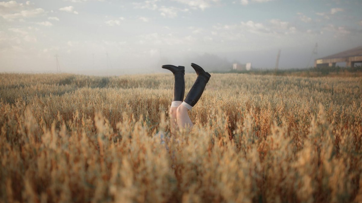 Playful image of legs in boots emerging from a wheat field at sunrise in a rural setting.