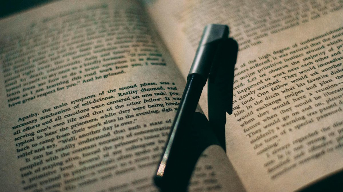 Close-up of a ballpoint pen resting between the pages of an open book, perfect for education or reading themes.