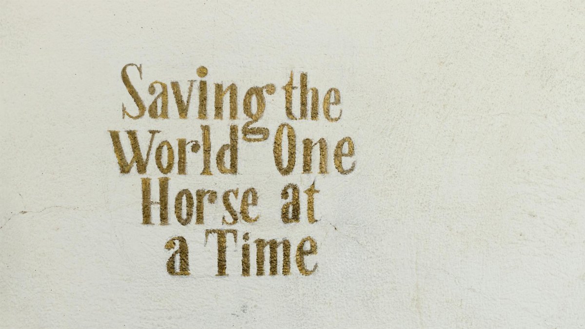 Text 'Saving the World One Horse at a Time' on a textured wall.
