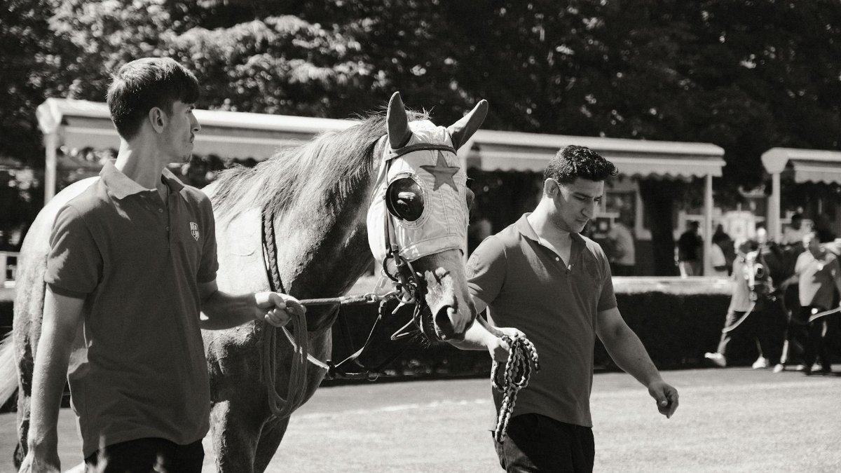 Black and white photo of a racehorse being led by two handlers at an outdoor equine event.