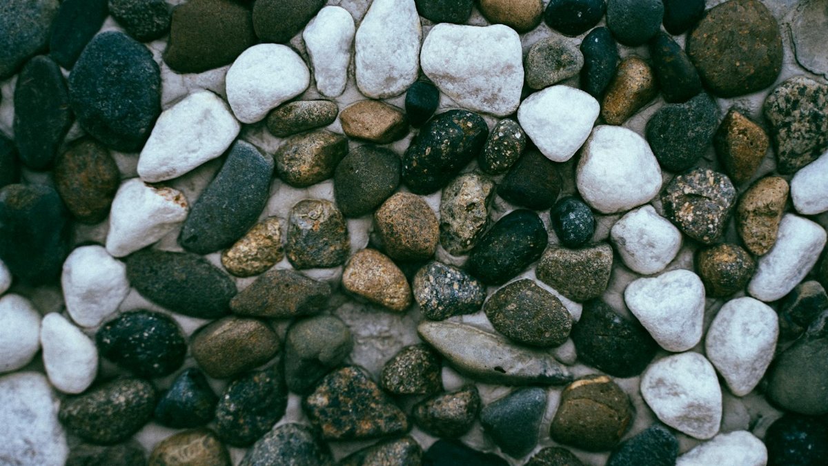 A close-up view of smooth, textured river stones in various shapes and colors.