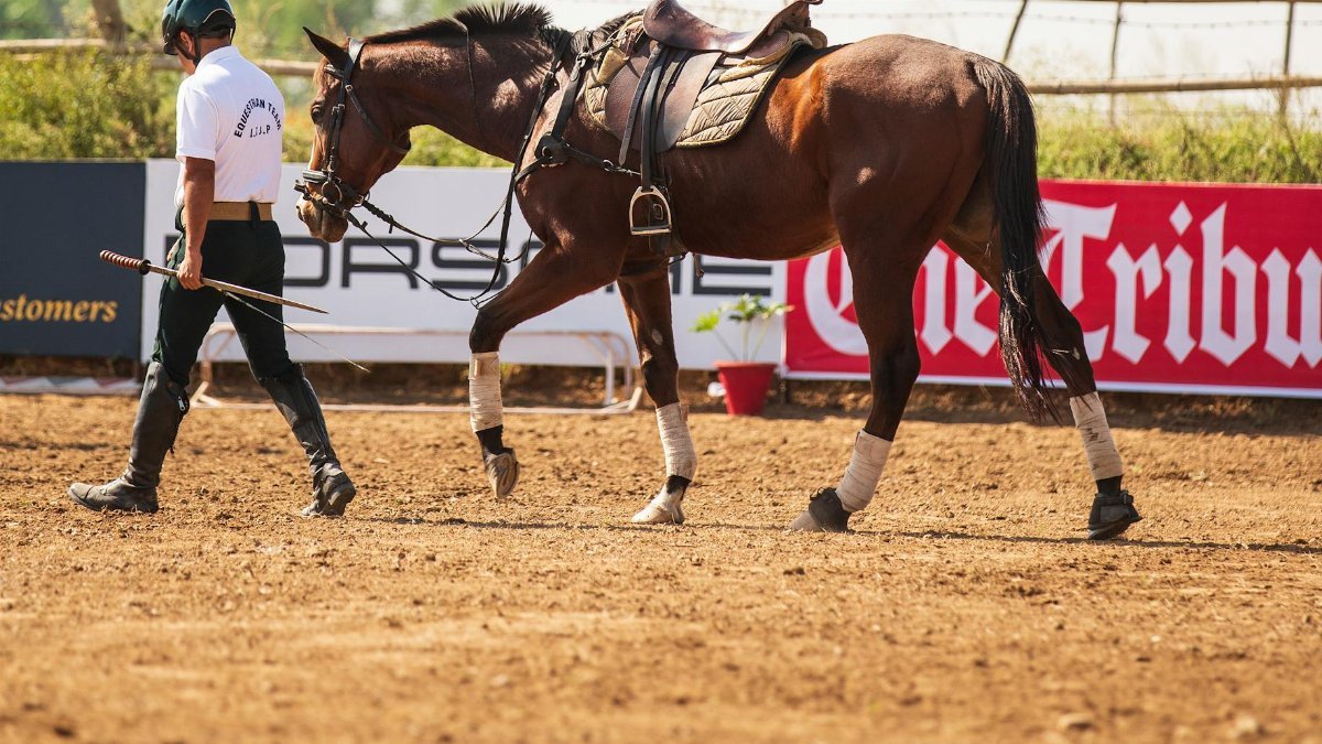 Man leading a horse in an equestrian training arena under sunny skies.