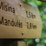 Close-up of a wooden hiking sign with bokeh effect in the forest.