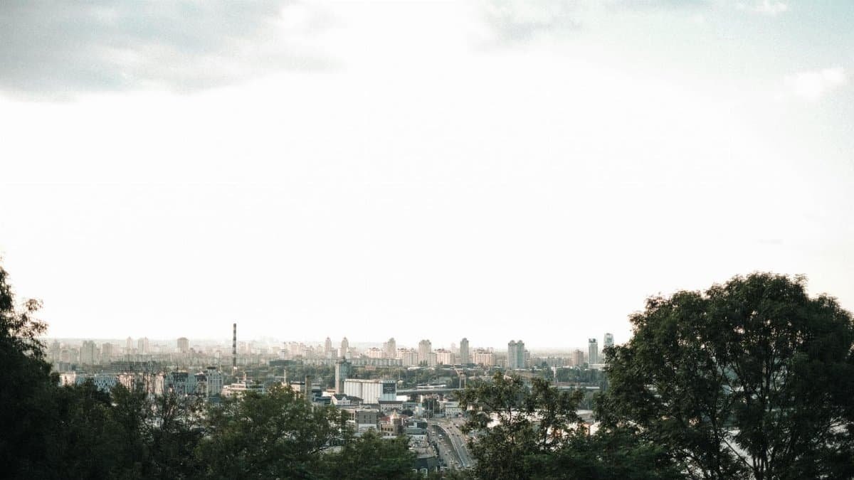 A serene view of a city skyline framed by trees and a clear horizon, ideal for travel and landscape themes.
