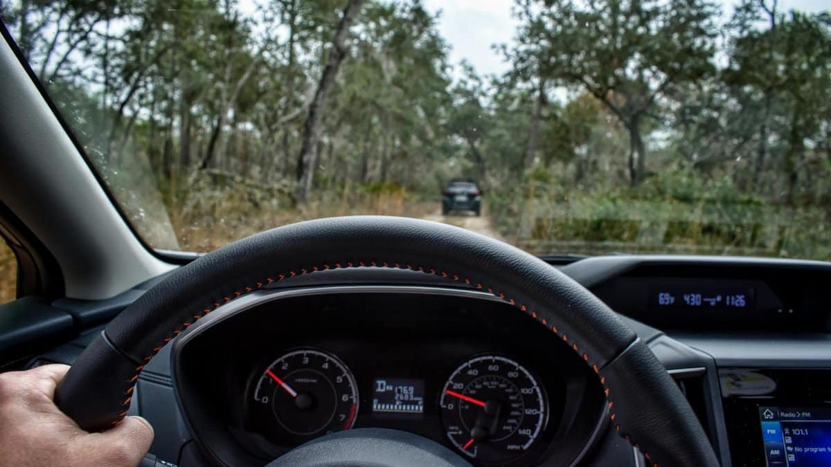 View from driver's seat as car navigates an off-road forest trail. Modern dashboard and steering wheel in view.