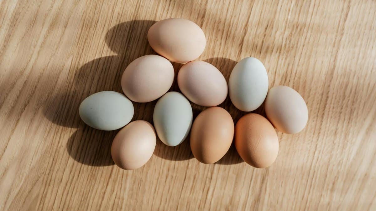 Top view set of organic pastel colored raw chicken eggs placed on wooden table in daylight