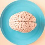 A human brain model placed on a blue plate, viewed from above against a pastel background.