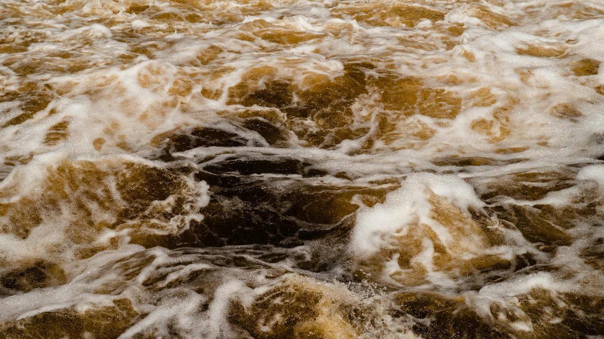 Close-up of dynamic rapids with frothy white and brown water creating dramatic movement.