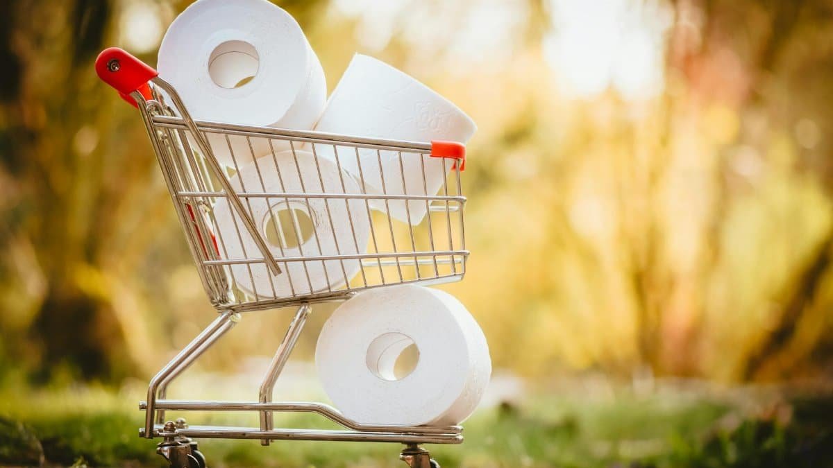 A shopping cart filled with toilet paper rolls against a blurred outdoor background.