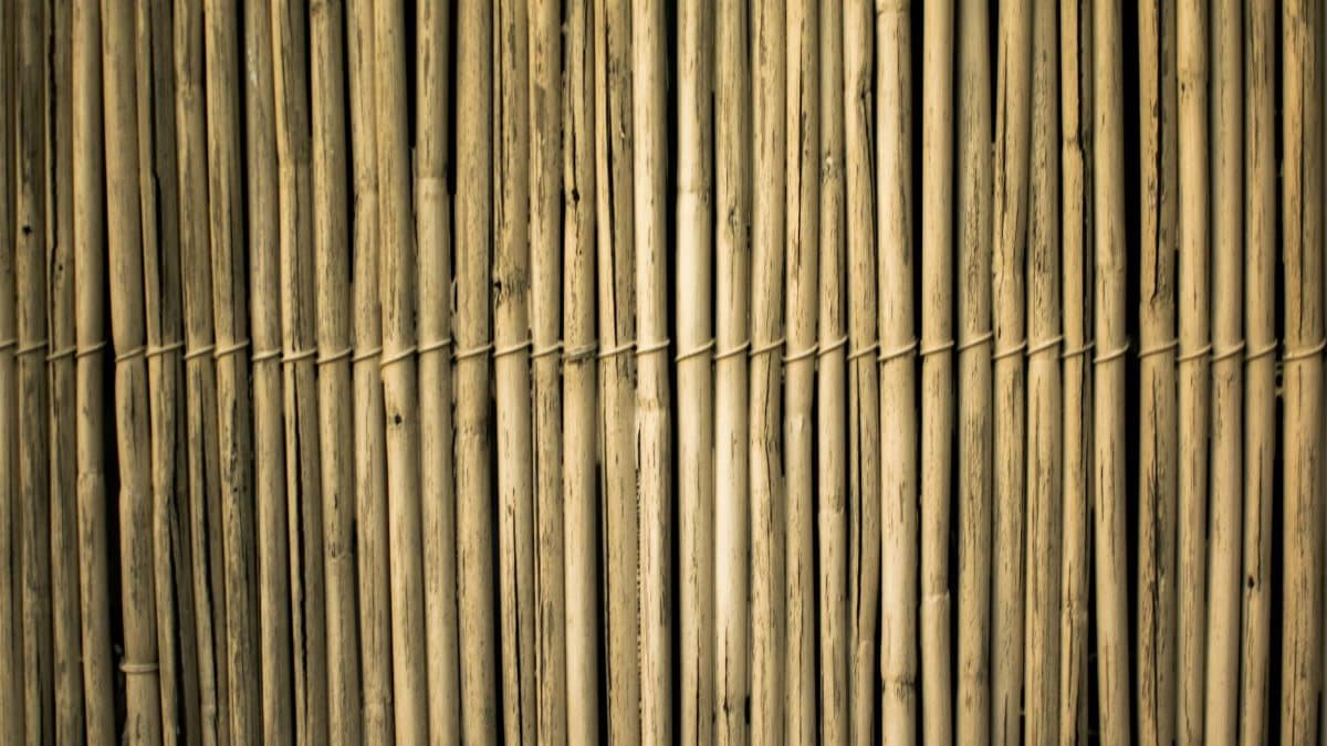 Close-up view of a textured bamboo fence offering a natural and rustic design element.