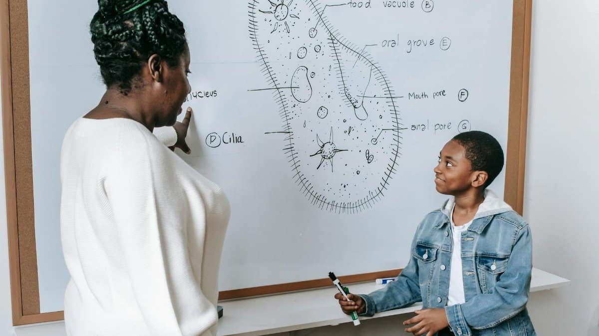 A teacher and student engage in a biology lesson with a cell diagram on the whiteboard.