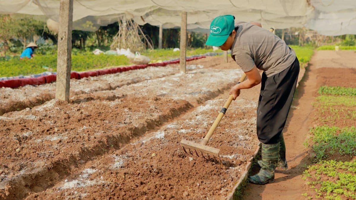 A farmer wearing a green cap and boots works the soil in a sunlit outdoor garden.