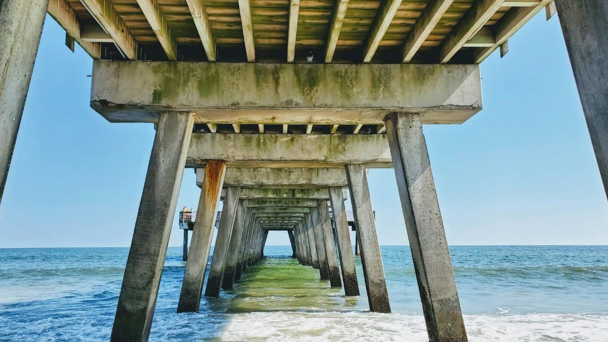Explore the striking view beneath the Tybee Island pier, capturing concrete pillars and the ocean waves.