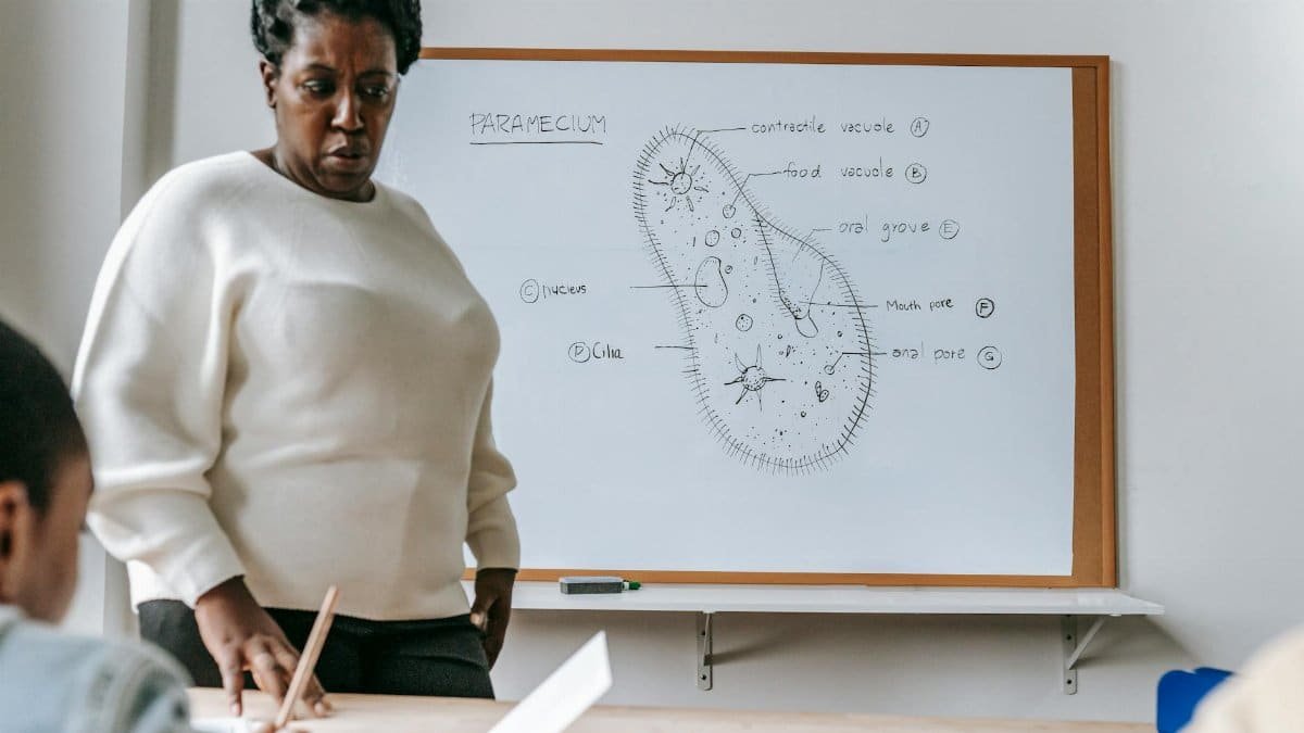 Serious African American female teacher standing near desk and explaining information during biology lesson