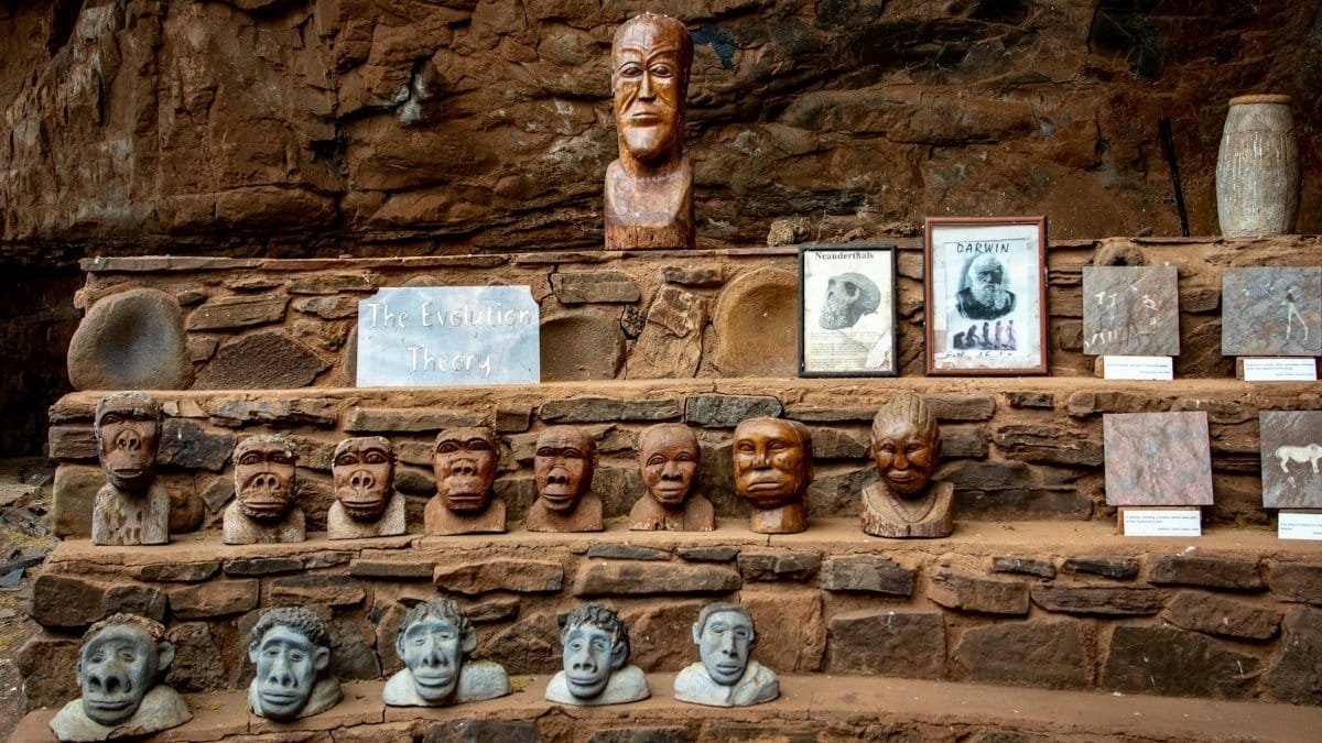 Stone carvings representing the theory of evolution, displayed in an outdoor setting.