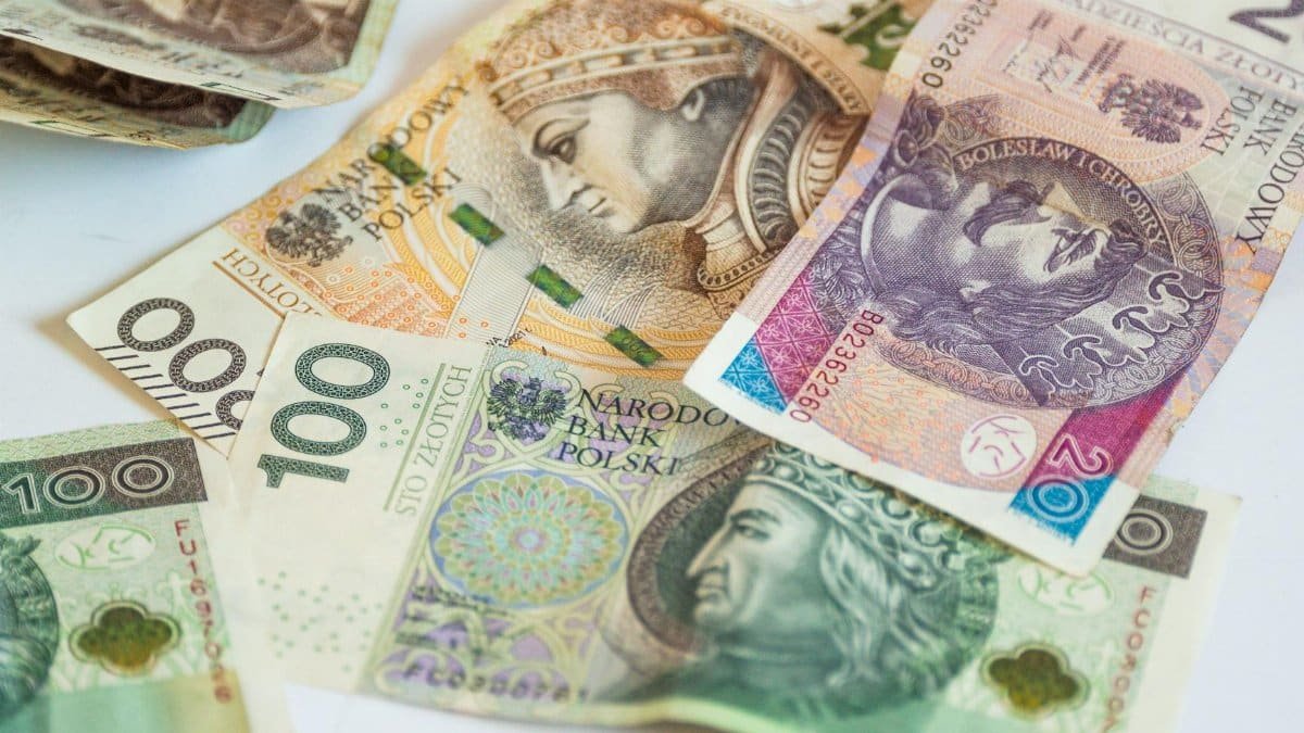 Detailed view of Polish currency banknotes, featuring multiple denominations and designs.