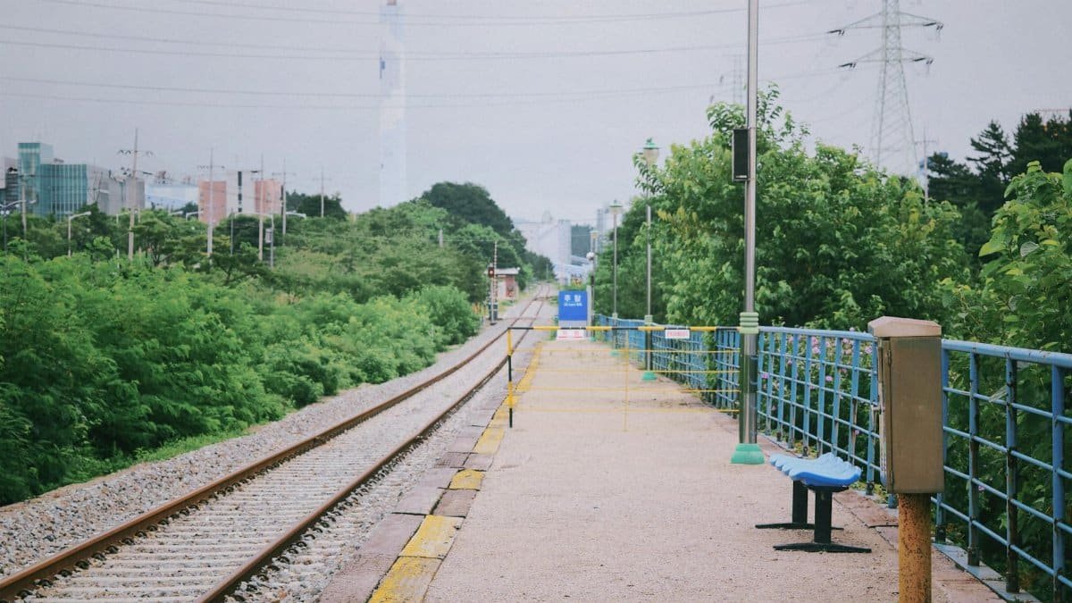 Empty train platform with nearby trees, power lines, and a distant urban skyline.