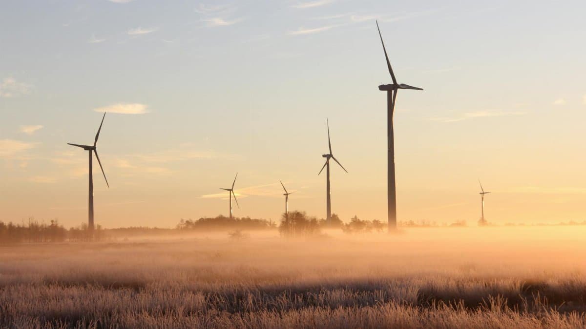 Wind turbines stand tall amidst a misty, sunrise landscape in Ontario, Canada, showcasing renewable energy.