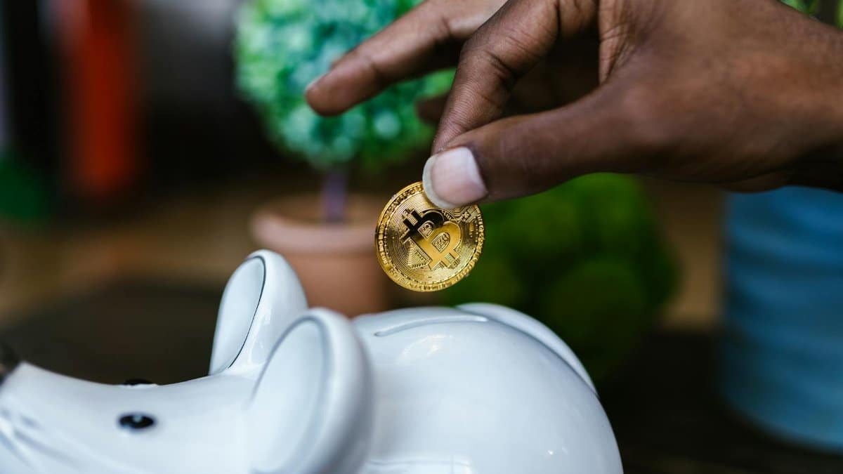 A close-up of a hand placing a bitcoin into a white piggy bank, symbolizing investment and savings.