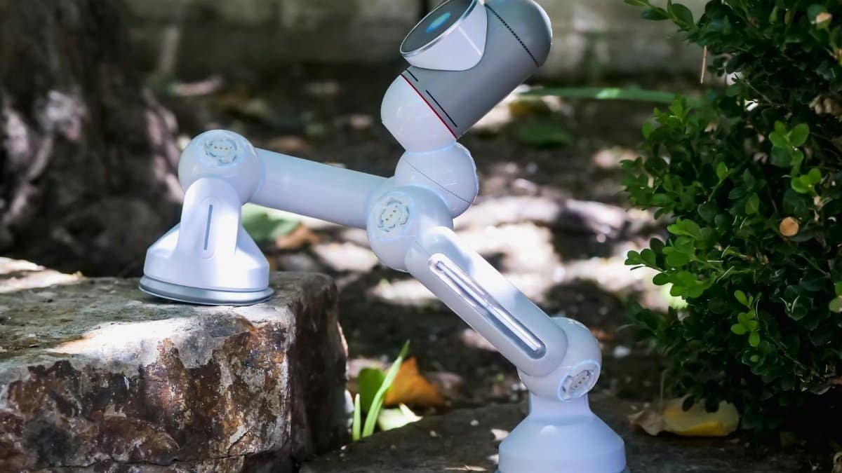 A small, modern robot climbing stone steps outdoors, showcasing advanced robotics technology.