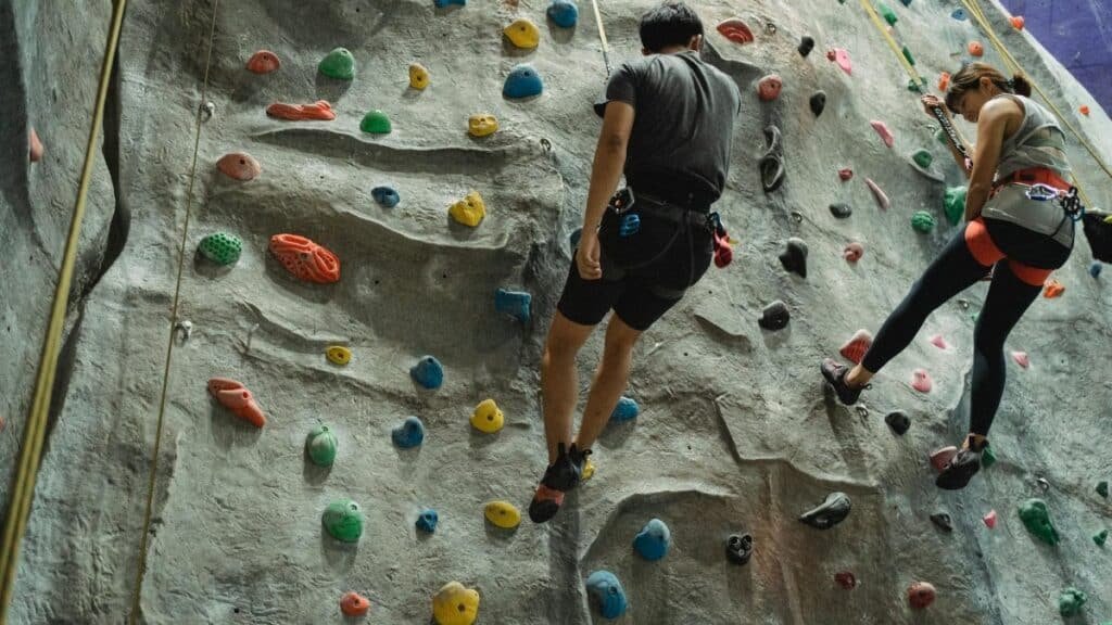 Back view of anonymous sportspeople in activewear hanging on rope after ascending climbing wall in bouldering center