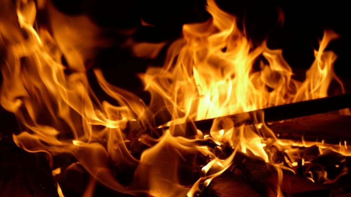 Close-up of a bright campfire burning with intense flames and glowing heat.