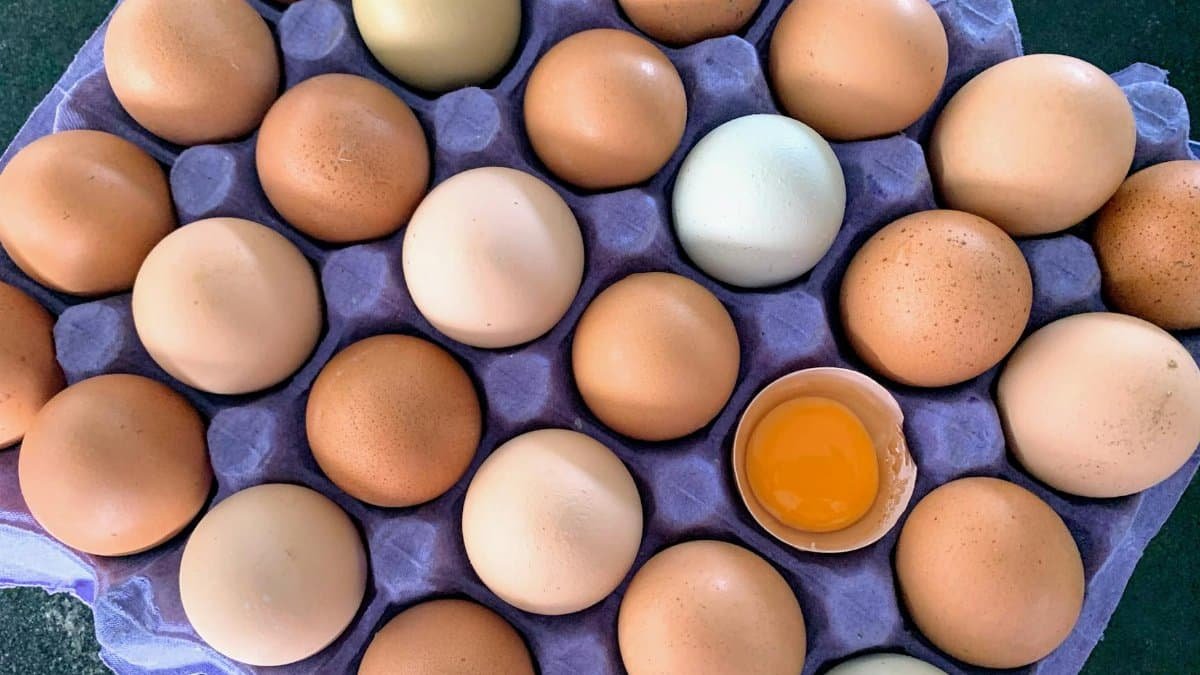 A top-down view of a tray filled with brown eggs, one cracked revealing the yolk.
